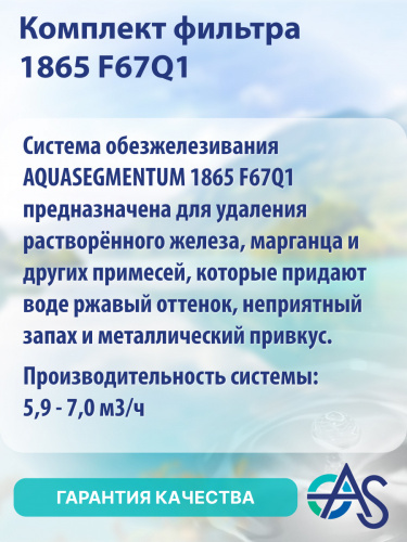 Система обезжелезивания AQUASEGMENTUM 1865 F67Q1. КОМПЛЕКТЫ ОБОРУДОВАНИЯ AQUASEGMENTUM (В СБОРЕ). (АКВАСЕГМЕНТУМ) фото 2 Система обезжелезивания AQUASEGMENTUM 1865 F67Q1. КОМПЛЕКТЫ ОБОРУДОВАНИЯ AQUASEGMENTUM (В СБОРЕ). (АКВАСЕГМЕНТУМ) фото 2