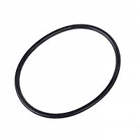 V3419, Уплотнительное кольцо для WS 1.5-2.0 (корпус с резьбой 4")