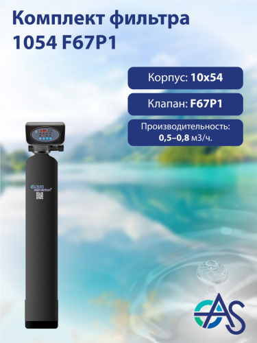 Система обезжелезивания AQUASEGMENTUM 1054 F67P1. КОМПЛЕКТЫ ОБОРУДОВАНИЯ AQUASEGMENTUM (В СБОРЕ). (АКВАСЕГМЕНТУМ)