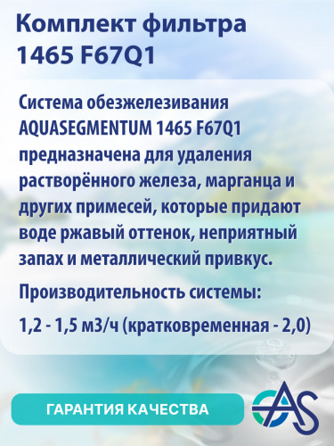 Комплект фильтра 1465 F67Q1 фото 4
