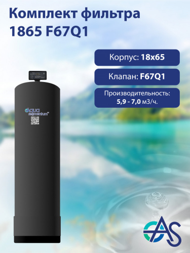 Система обезжелезивания AQUASEGMENTUM 1865 F67Q1. КОМПЛЕКТЫ ОБОРУДОВАНИЯ AQUASEGMENTUM (В СБОРЕ). (АКВАСЕГМЕНТУМ) Система обезжелезивания AQUASEGMENTUM 1865 F67Q1. КОМПЛЕКТЫ ОБОРУДОВАНИЯ AQUASEGMENTUM (В СБОРЕ). (АКВАСЕГМЕНТУМ)