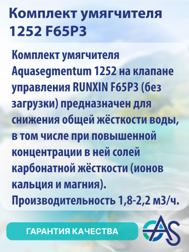 Комплект умягчителя 1252 F65P3 фото 9