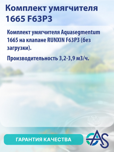 Комплект умягчителя 1665 F63P3 фото 11