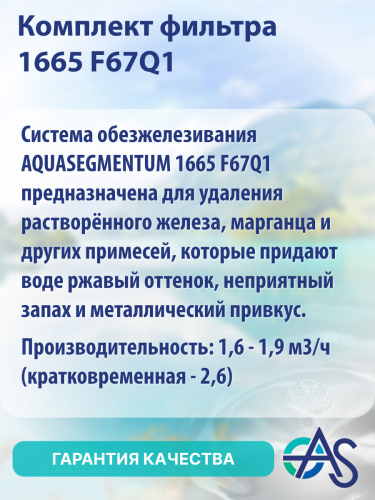 Комплект фильтра 1665 F67Q1 фото 3